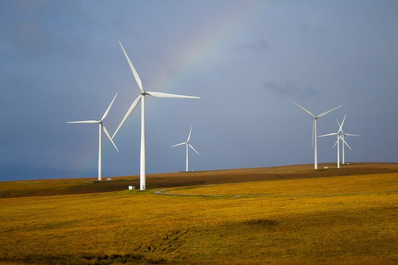 Sustainable Living Tips